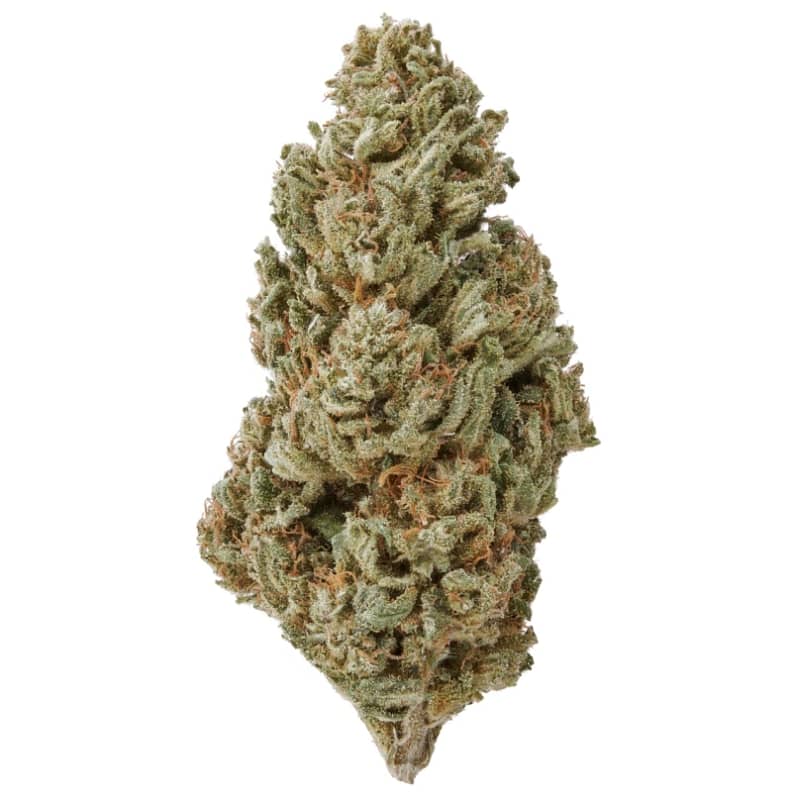 Berry Blossom CBD Flower