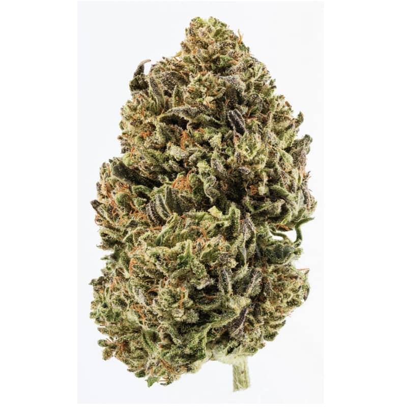 Suver Haze